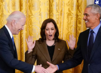 Democrats are rallying around Harris as she vows to ‘earn and win’ party nomination for president