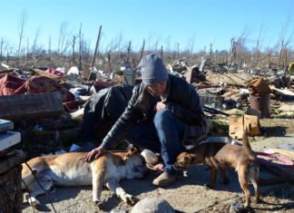 Víctimas de desastres son elegibles para prórroga automática del IRS