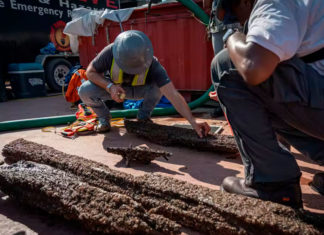 ¿Saldrá a la superficie el último barco de esclavos en EEUU?