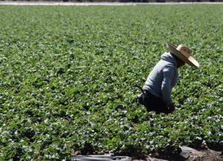 Condenan a pareja de California por someter a inmigrantes a trabajos forzados