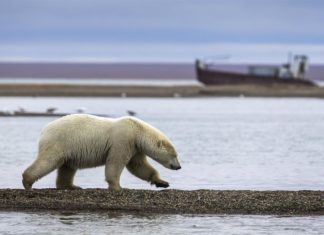 Grupos latinos piden luchar contra la crisis climática en el Cinco de Mayo