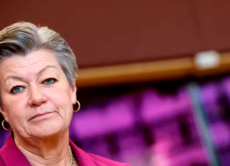 UE presenta plan para combatir la pornografía infantil