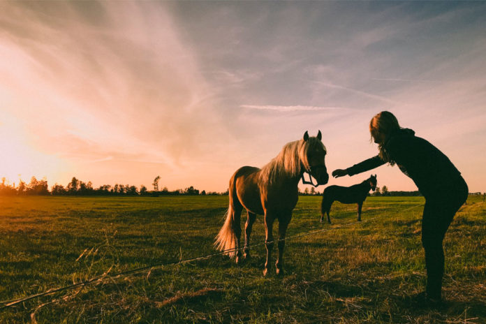 El-liderazgo-tiene-poco-que-ver-con-el-dominio-y-la-fuerza