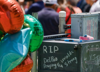 Radiografía del terrorismo doméstico 1