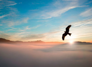 Una decisión fundamental: deshacernos del “yo falso”