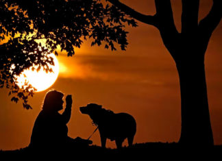 EEUU: Advierten que mascotas pueden contraer viruela símica