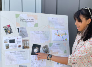 Jóvenes investigan el efecto de la dieta en la diabetes