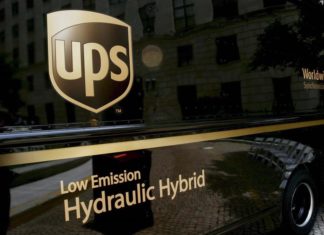 Muere una cartero tras ser mordida por cinco perros en Florida