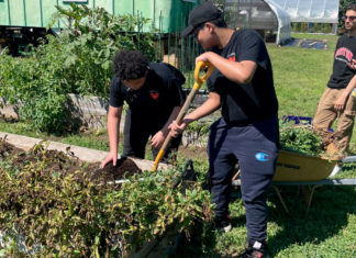 Campeones de esperanza: latinos previniendo diabetes pasantía de salud