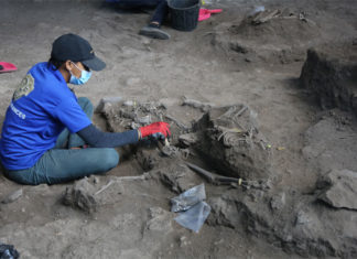 Acercamiento los ancestros de la población de Antillas