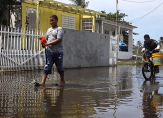 Alertan de casos de ltospirosis en Puerto Rico por inundaciones tras Fiona