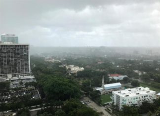 El huracán Fiona deja peces en las calles del pueblo puertorriqueño de Loíza