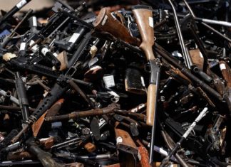 Incautan armas y 19 caimanes en operación contra narcotráfico en Puerto Rico