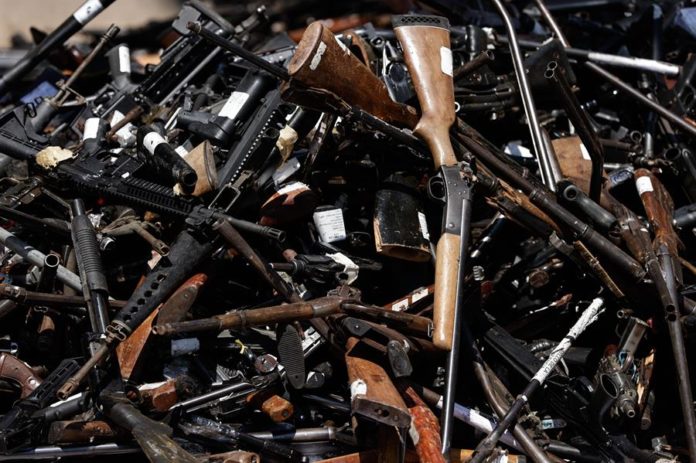 Incautan armas y 19 caimanes en operación contra narcotráfico en Puerto Rico