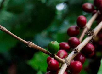 Un Pueblo que Resiste