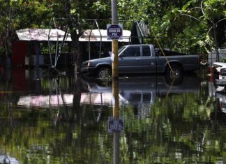 Investigación pronosticó deslizamiento de tierra en Puerto Rico durante Fiona