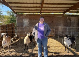 Los votantes estadounidenses lo tienen claro: “¡Es la economía, estúpido!”