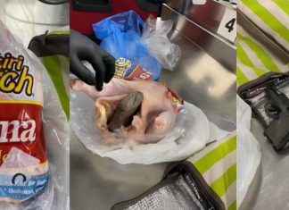 Una mujer trató viajar en un vuelo con una pistola dentro de una gallina