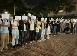 China virus protests hit Hong Kong after mainland rallies