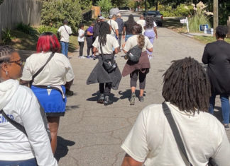 Libera el voto “Free The Vote”