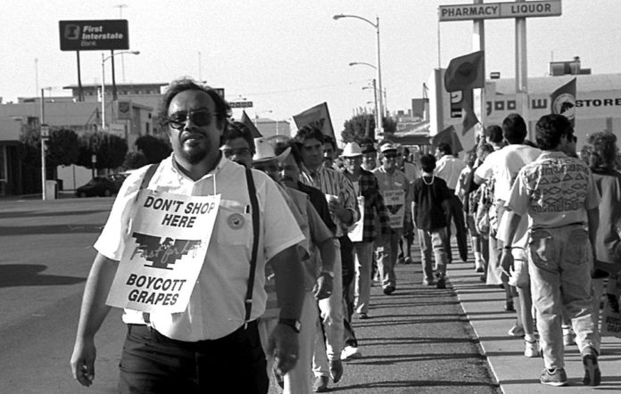 219811_10150169043487327_4656601_o