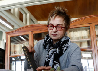 El «Diccionario de mexicanismos», espejo para propios y ventana para extraños