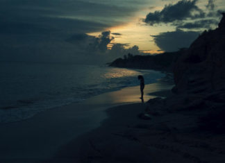 El filme «La pecera», una mirada al colonialismo estadounidense en Puerto Rico