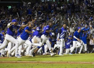 Los Tigres vencen a las Estrellas Orientales y se coronan campeones del béisbol en R. Dominicana