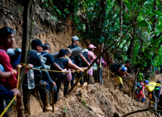 Pese a los peligros del Darién, casi 250.000 migrantes se aventuraron a cruzar la selva en 2022
