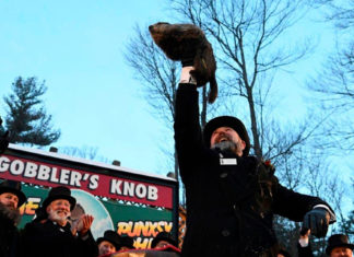 Beyond Phil: Other rodents that purport to ‘predict’ weather