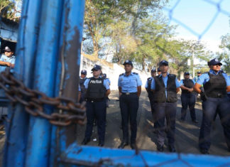 Nicaragua libera a más de 200 opositores y los envía a EE. UU.