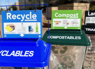 Phoenix se propone acoger el Super Bowl “más verde” de la historia