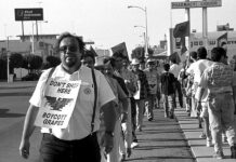 ¡Pensamos que César estaba loco!