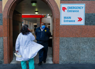 Aumentan los casos de infección con un hongo superresistente en EE. UU.