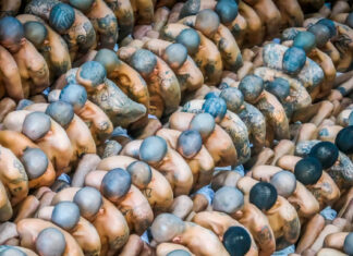 El dilema salvadoreño: ¿seguridad a cambio del porcentaje más alto de presos en el mundo?