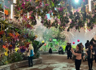 At the Philadelphia Flower Show, display gardens bloom
