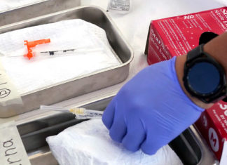 Hipótesis sobre COVID-19 se disparan tras un nuevo reporte Dreamers