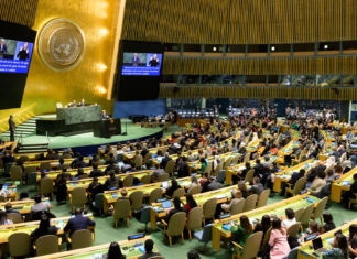 Los organismos multilaterales son «un paisaje dominado por los hombres»