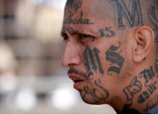 Programa de la Mara Salvatrucha que terminó siendo ruta de escape para pandilleros que huyen de El Salvador