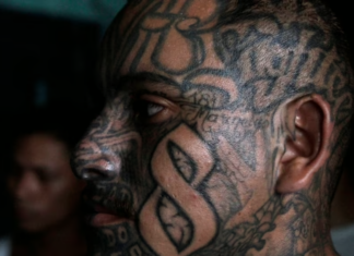 ¿Cómo operaban y qué ha cambiado en la organización de las pandillas en El Salvador?