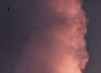 Reportan sobre la calidad del aire en Hunting Park por el incendio