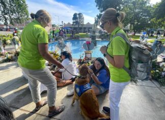 Los perros de terapia tienen una especialidad en EE. UU.: los tiroteos masivos