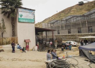 Migrantes misquitos se aferran a su cultura mientras esperan en México para ir a EE. UU.