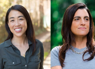 Este problema es mucho más complejo que un solo enfoque