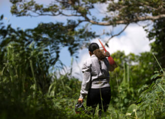 Universidad de EE. UU. estudia efecto de la crisis climática en la agricultura