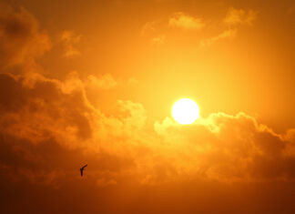 México suma 112 fallecidos por las altas temperaturas