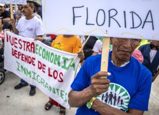 Promover el voto latino en las elecciones locales ayudaría a evitar leyes como la SB1718