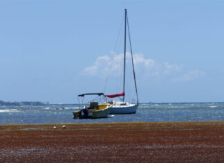 Anuncian un fondo de 1 millón de dólares para iniciativas de recuperación en Puerto Rico