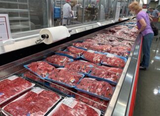 Aumentan en EE. UU. los casos de alergia a las carnes rojas causada por una garrapata