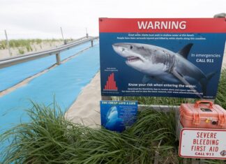 Autoridades recurren a drones y otro equipo ante la presencia de tiburones